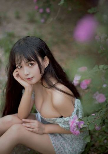 战狼免费观看