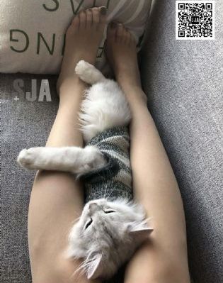 年轻善良的嫂子韩国